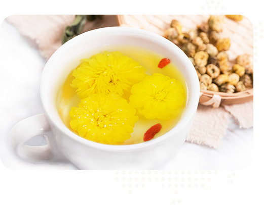 始建于2015年，實(shí)力雄厚